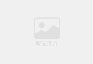 景洪个人公寓单间月租，带电梯